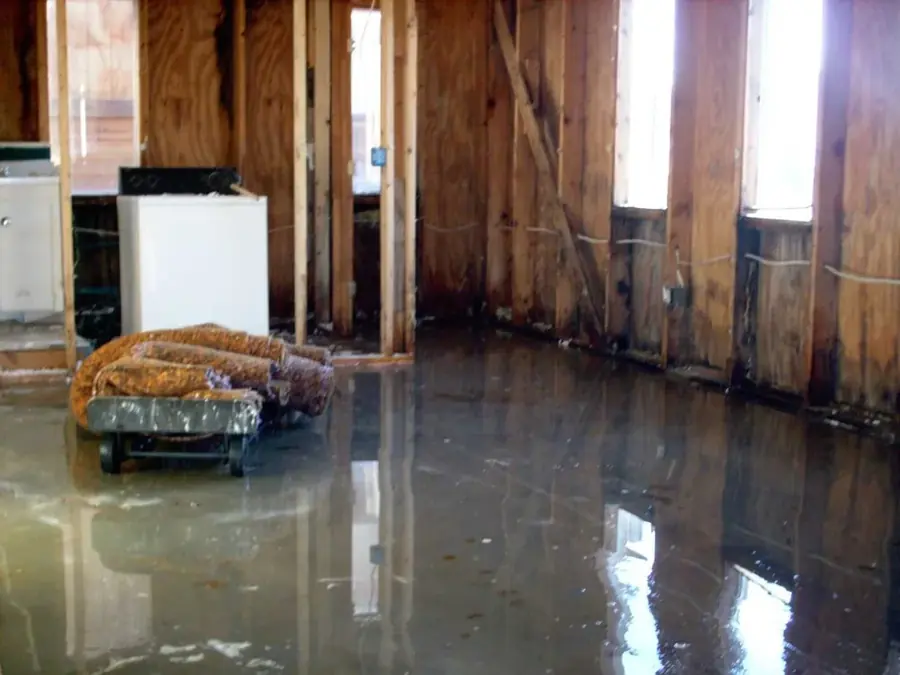 Standing water across a gutted Circle Pines room