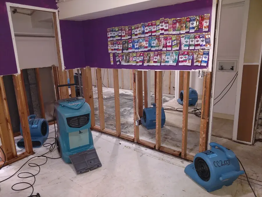 Flood cut walls and air movers drying a Circle Pines room