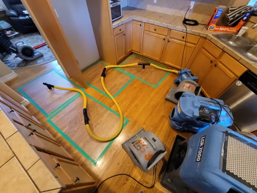 Moisture mapping on a Circle Pines kitchen floor
