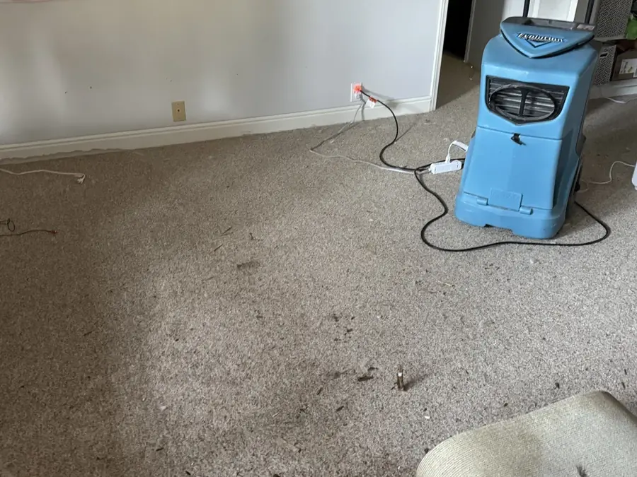 Wet carpet and a dehumidifier drying a flooded finished basement in Blaine, MN