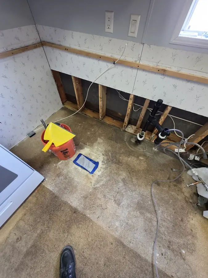 Flood cut wall and exposed studs in a Circle Pines laundry room