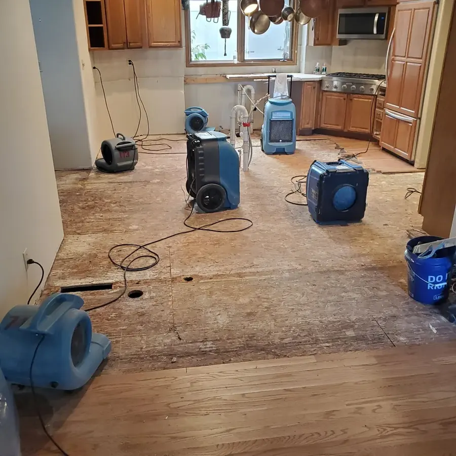 Water damaged floor and cabinet from an appliance leak in a Circle Pines kitchen