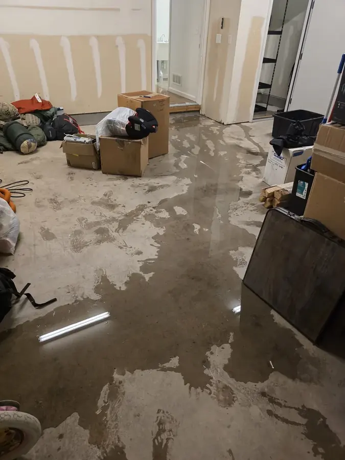 Basement Flooding Cleanup in Circle Pines, MN