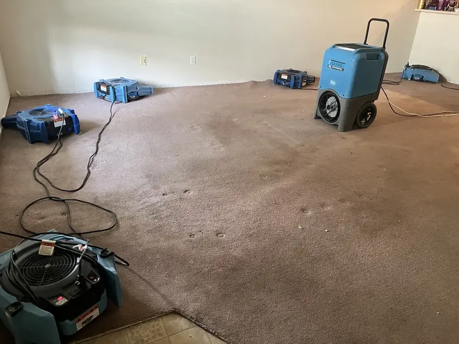 Burst Pipe Cleanup in Circle Pines, MN