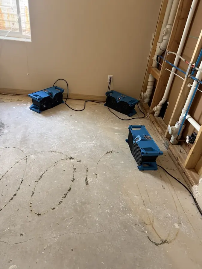 Frozen Pipe Cleanup in Circle Pines, MN