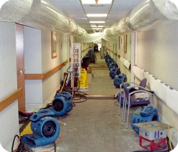 Air movers and dehumidifiers drying a water damaged Circle Pines room